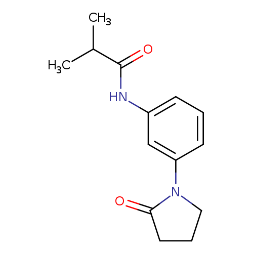 2-methyl-N-[3-(2-oxopyrrolidin-1-yl)phenyl]propanamide
