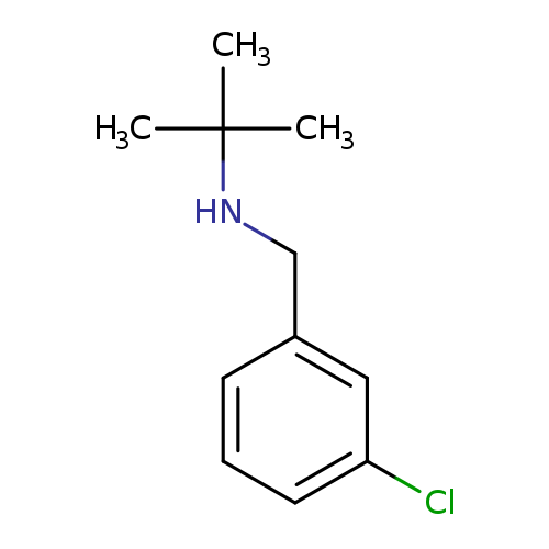 N-(3-CHLOROBENZYL)-2-METHYL-2-PROPANAMINE