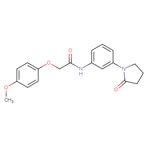 2-(4-methoxyphenoxy)-N-[3-(2-oxopyrrolidin-1-yl)phenyl]acetamide