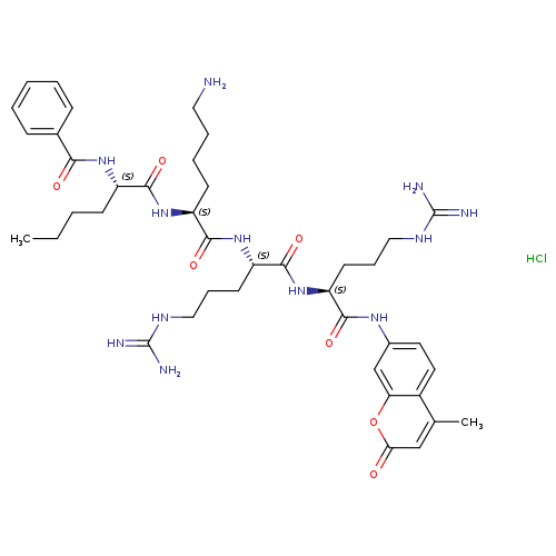 BZ-NLE-LYS-ARG-ARG-AMC