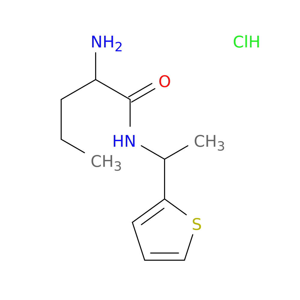 2-amino-N-[1-(thiophen-2-yl)ethyl]pentanamide hydrochloride