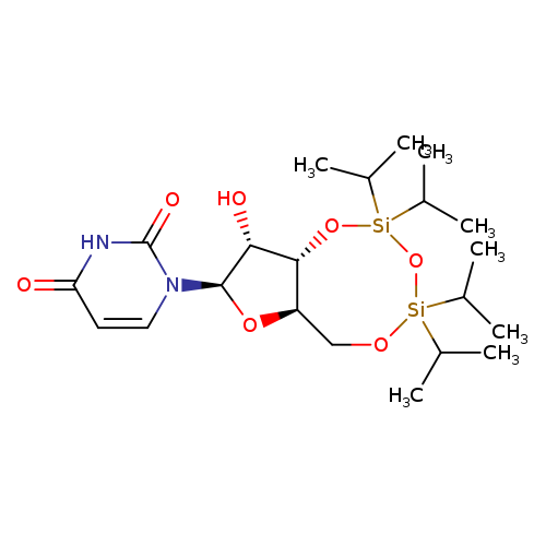 3',5'-O-(1,1,3,3-Tetraisopropyl-1,3-disiloxanediyl)uridine