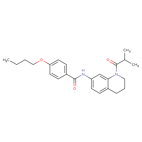 4-butoxy-N-[1-(2-methylpropanoyl)-1,2,3,4-tetrahydroquinolin-7-yl]benzamide