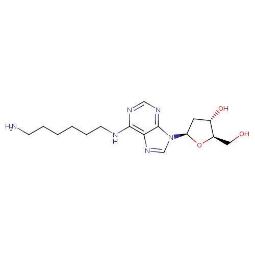 Adenosine, N-(6-aminohexyl)-2'-deoxy- (9CI)