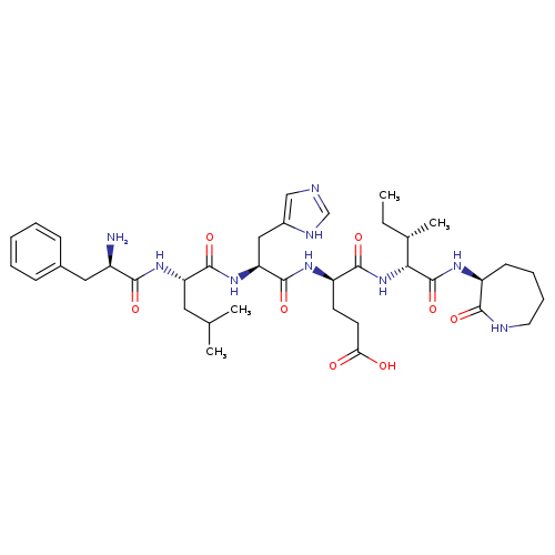 CalpinactaM