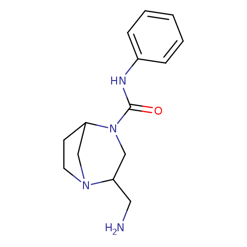 2-(aminomethyl)-N-phenyl-1,4-diazabicyclo[3.2.1]octane-4-carboxamide