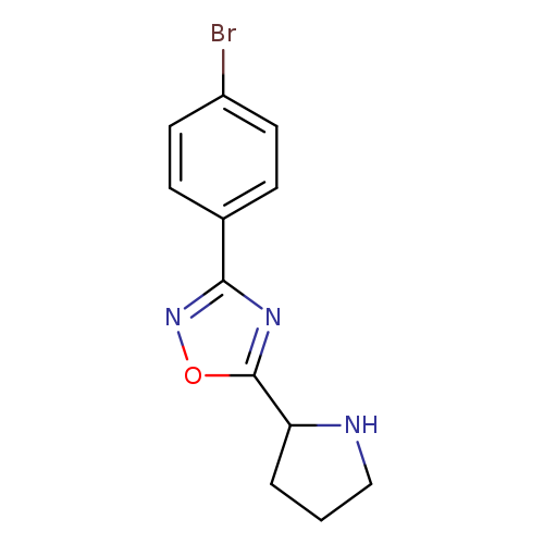 3-(4-bromophenyl)-5-(pyrrolidin-2-yl)-1,2,4-oxadiazole