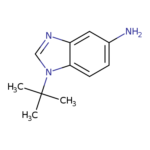 1-tert-Butyl-1h-benzimidazol-5-amine
