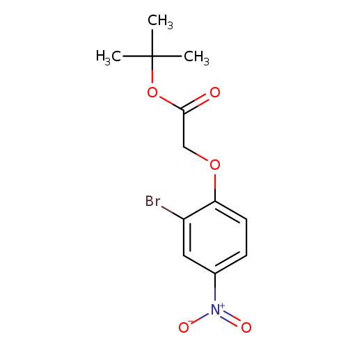 (2-Bromo-4-nitro-phenoxy)-acetic acid tert-butyl ester