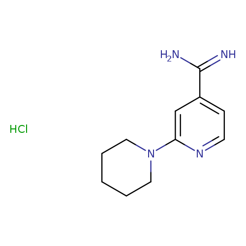 2-(piperidin-1-yl)pyridine-4-carboximidamide hydrochloride