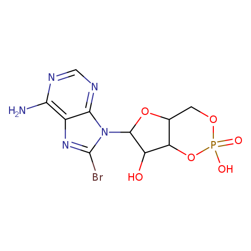 8-Bromoadenosine cyclic 3',5'-monophosphate