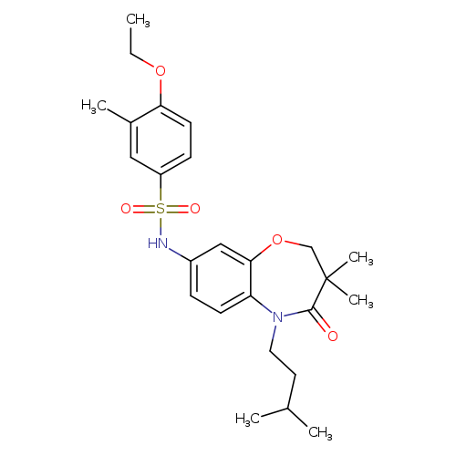 N-[3,3-dimethyl-5-(3-methylbutyl)-4-oxo-2,3,4,5-tetrahydro-1,5-benzoxazepin-8-yl]-4-ethoxy-3-methylbenzene-1-sulfonamide
