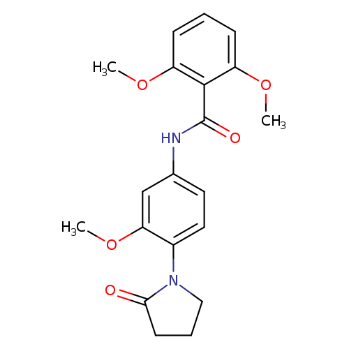 2,6-dimethoxy-N-[3-methoxy-4-(2-oxopyrrolidin-1-yl)phenyl]benzamide