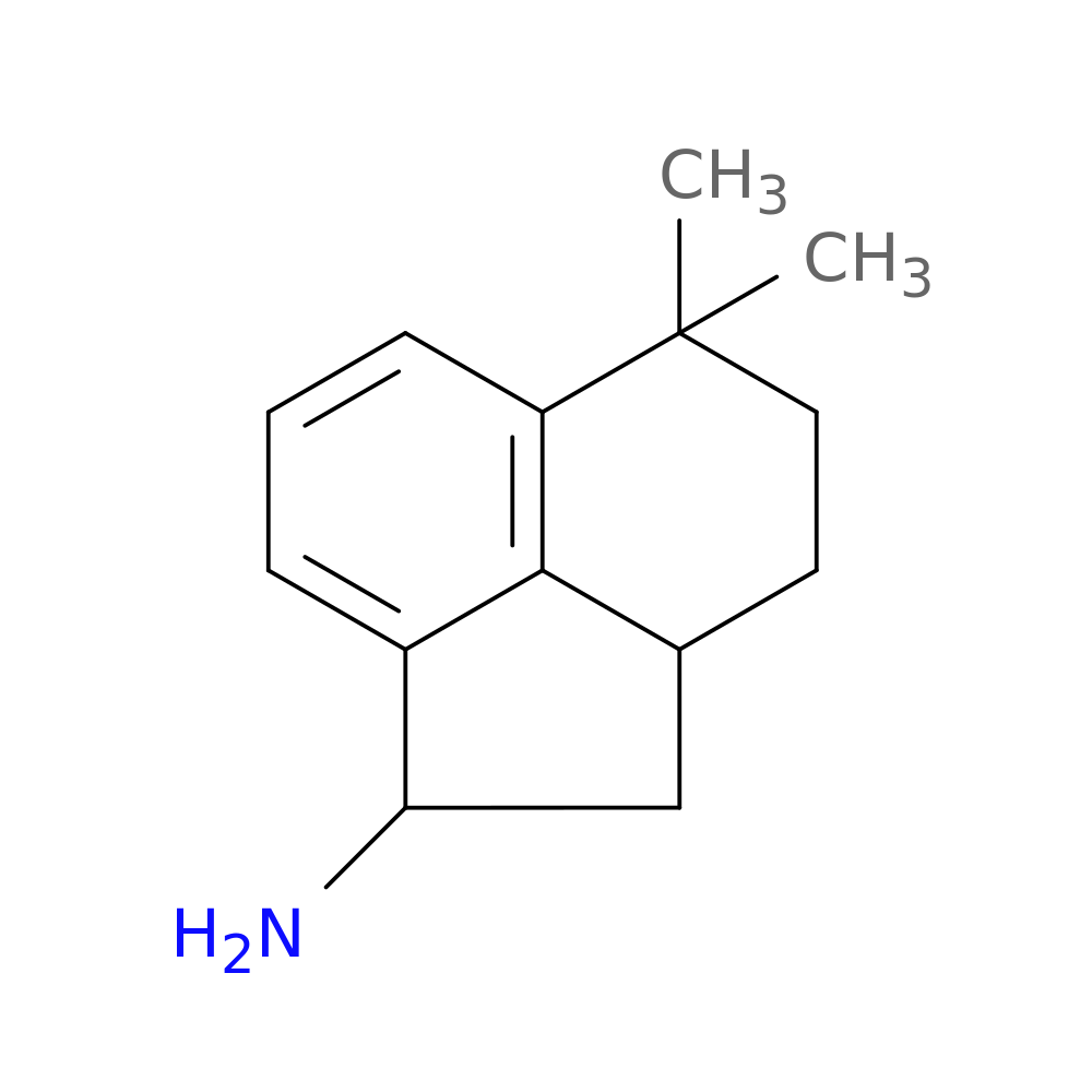 5,5-Dimethyl-1,2,2a,3,4,5-hexahydroacenaphthylen-1-amine