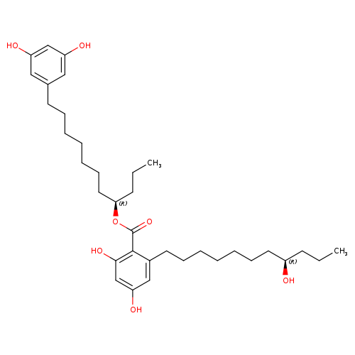 Integracin B