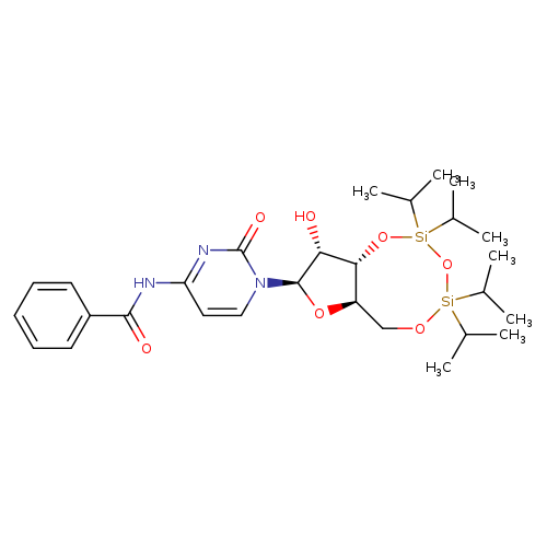 N4-Benzoyl-3',5'-O-(1,1,3,3-tetraisopropyl-1,3-disiloxanediyl)cytidine