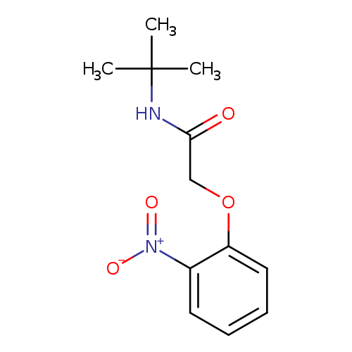 N-tert-butyl-2-(2-nitrophenoxy)acetamide