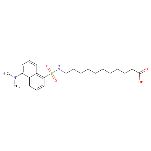 Undecanoic acid,11-[[[5-(dimethylamino)-1-naphthalenyl]sulfonyl]amino]-