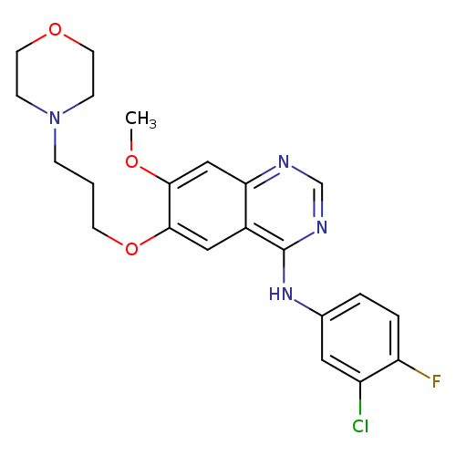 N-(3-Chloro-4-fluorophenyl)-7-methoxy-6-[3-(4-morpholinyl)propoxy]-4-quinazolinamine