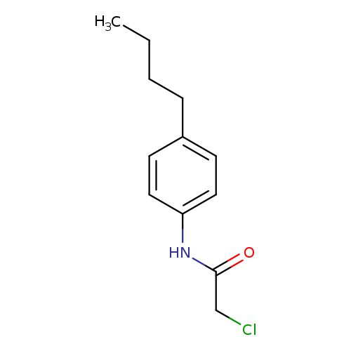 N-(4-Butylphenyl)-2-chloroacetamide