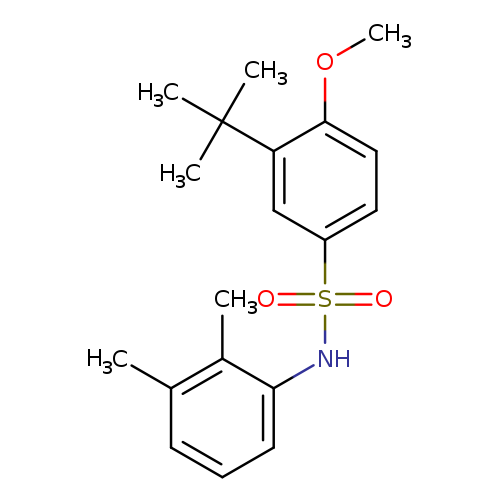 3-tert-butyl-N-(2,3-dimethylphenyl)-4-methoxybenzene-1-sulfonamide