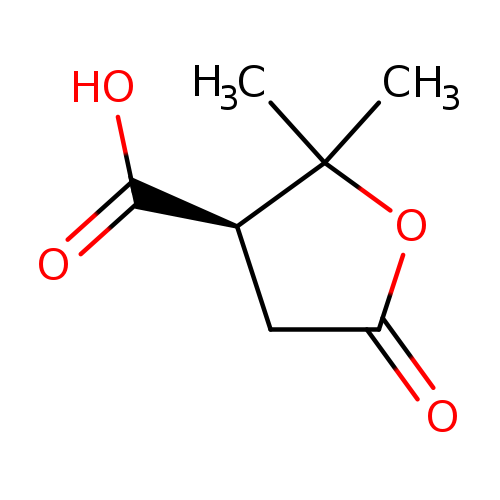 3-Furancarboxylicacid,tetrahydro-2,2-dimethyl-5-oxo-,(3R)-(9CI)