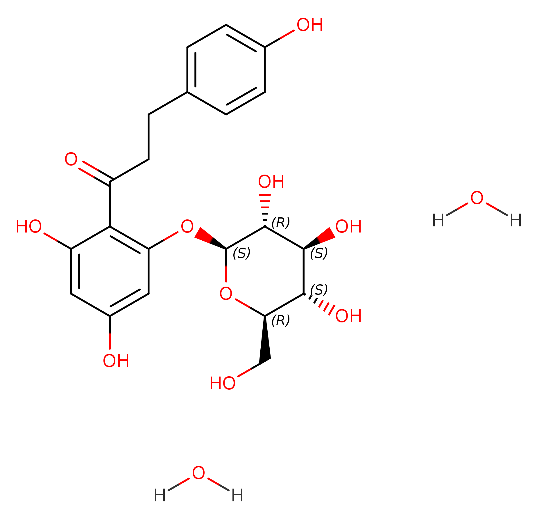Phlorizin dihydrate