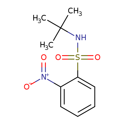 N-tert-butyl-2-nitrobenzenesulfonamide