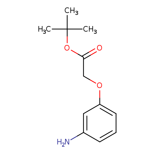 Acetic acid, (3-aminophenoxy)-, 1,1-dimethylethyl ester