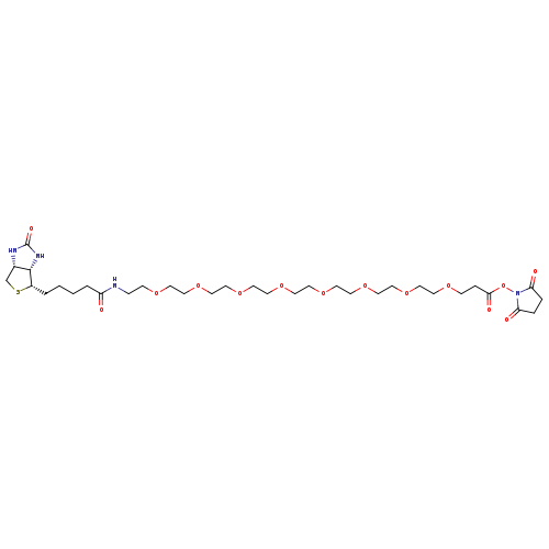 Biotin-PEG8-NHS