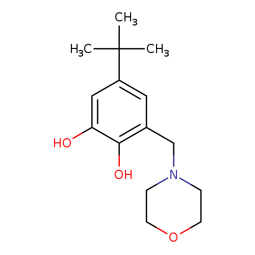 5-(tert-butyl)-3-(morpholinomethyl)benzene-1,2-diol