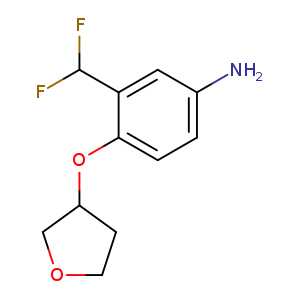 3-(Difluoromethyl)-4-(oxolan-3-yloxy)aniline