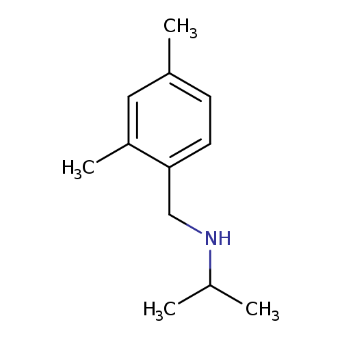 [(2,4-dimethylphenyl)methyl](propan-2-yl)amine
