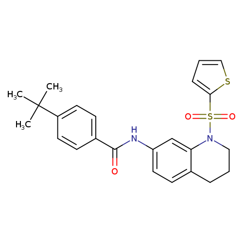 4-tert-butyl-N-[1-(thiophene-2-sulfonyl)-1,2,3,4-tetrahydroquinolin-7-yl]benzamide