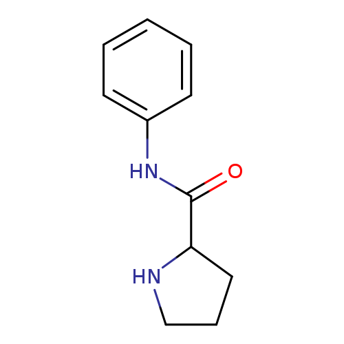 N-phenylpyrrolidine-2-carboxamide