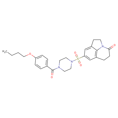 6-{[4-(4-butoxybenzoyl)piperazin-1-yl]sulfonyl}-1-azatricyclo[6.3.1.0^{4,12}]dodeca-4(12),5,7-trien-11-one
