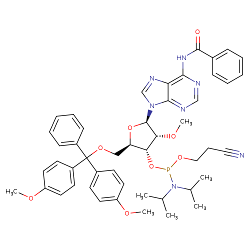 2'-OMe-A(Bz) Phosphoramidite