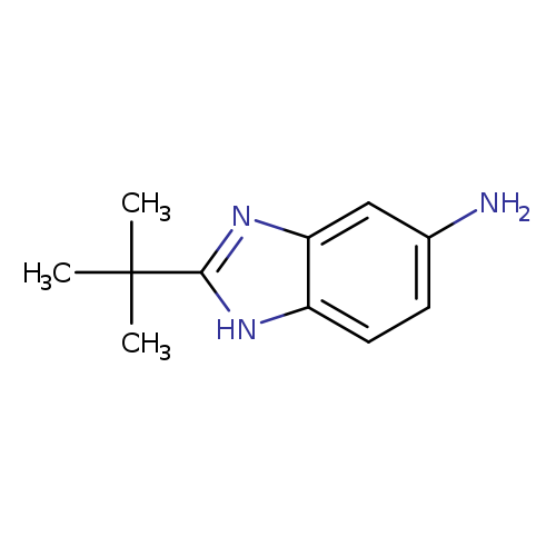 2-tert-Butyl-1h-benzimidazol-5-amine