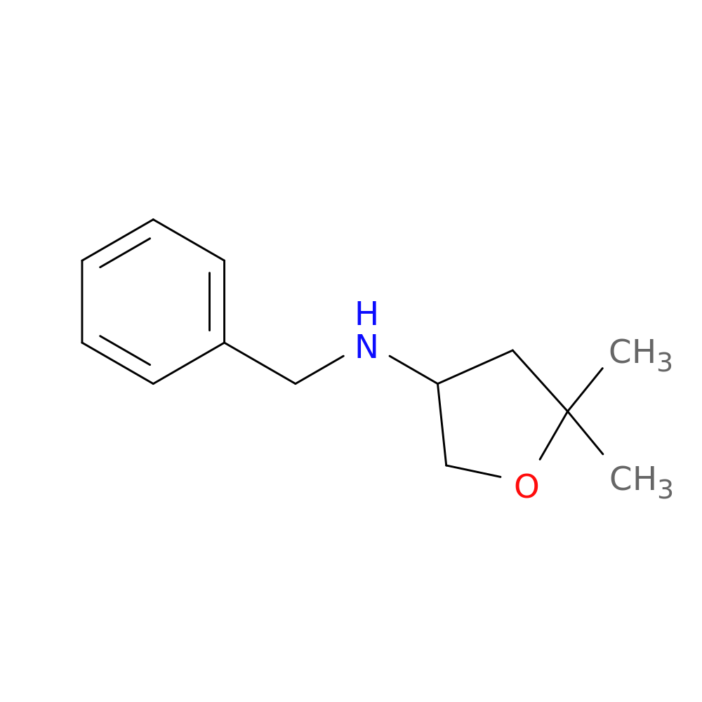 N-Benzyl-5,5-dimethyloxolan-3-amine