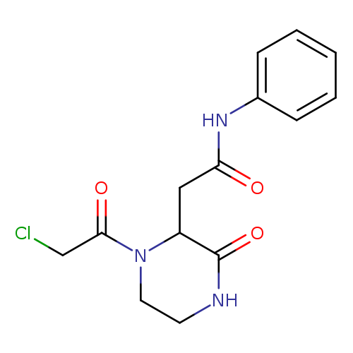2-[1-(Chloroacetyl)-3-oxopiperazin-2-yl]-n-phenylacetamide