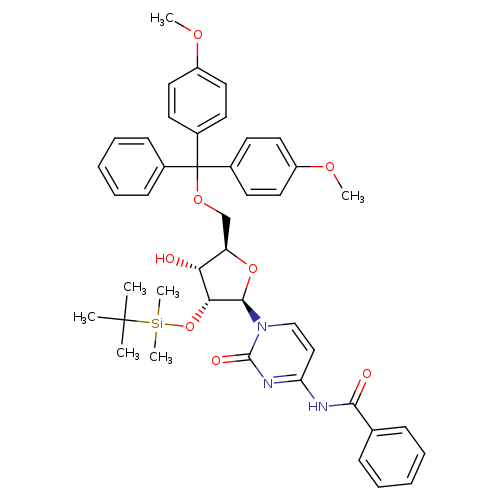 5'-O-DMT-2'-O-TBDMS-N-Bz-Cytidine
