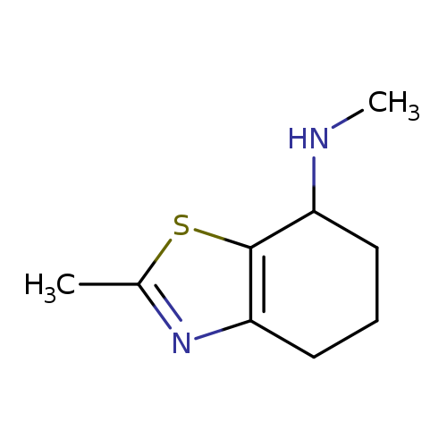 N,2-dimethyl-4,5,6,7-tetrahydro-1,3-benzothiazol-7-amine