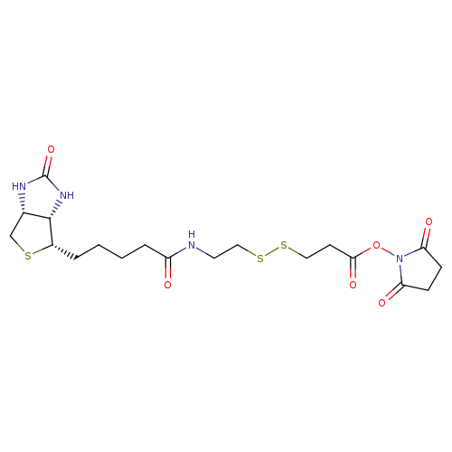 NHS-SS-biotin