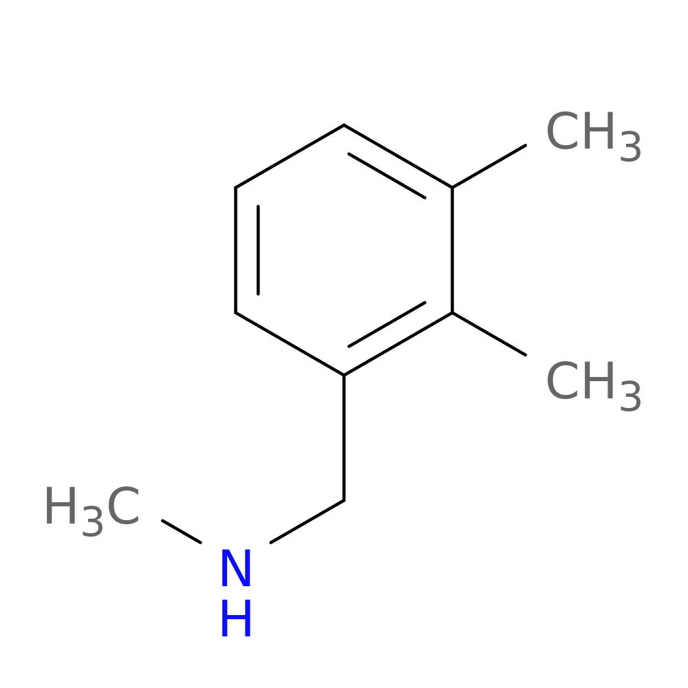 (2,3-dimethylbenzyl)methylamine