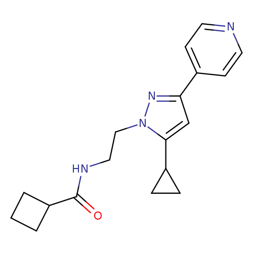 N-{2-[5-cyclopropyl-3-(pyridin-4-yl)-1H-pyrazol-1-yl]ethyl}cyclobutanecarboxamide