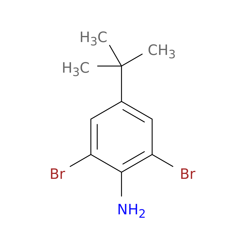 2,6-Dibromo-4-(tert-butyl)aniline