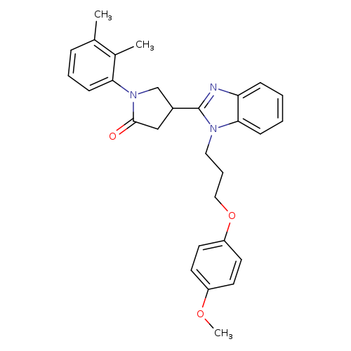 1-(2,3-dimethylphenyl)-4-{1-[3-(4-methoxyphenoxy)propyl]-1H-1,3-benzodiazol-2-yl}pyrrolidin-2-one