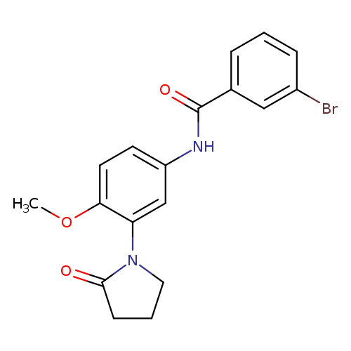 3-bromo-N-[4-methoxy-3-(2-oxopyrrolidin-1-yl)phenyl]benzamide