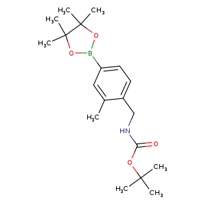 [2-Methyl-4-(4,4,5,5-tetramethyl-[1,3,2]dioxaborolan-2-yl)-benzyl]-carbamic acid tert-butyl ester