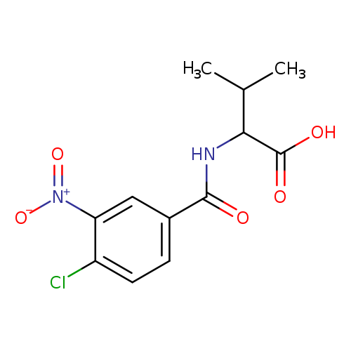 2-[(4-chloro-3-nitrophenyl)formamido]-3-methylbutanoic acid